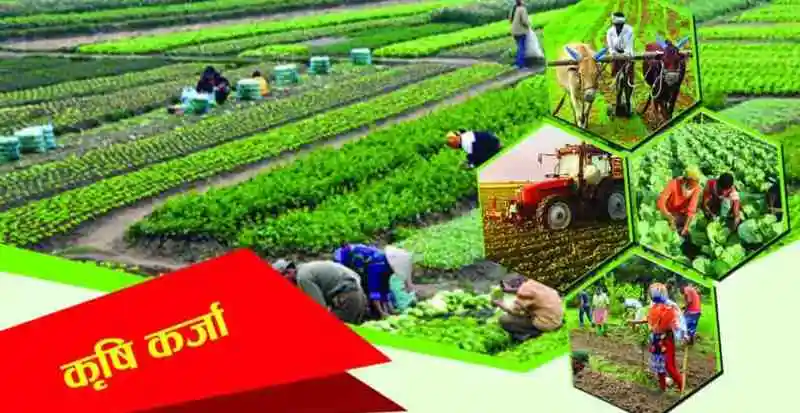 कृषि कर्जा