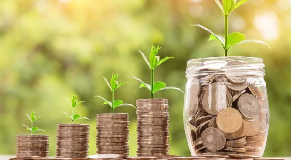 जनमुखी स्पेशल वचत